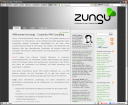 zungu - Screenshot 12. Juli 2007